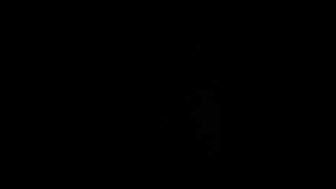 New York state court