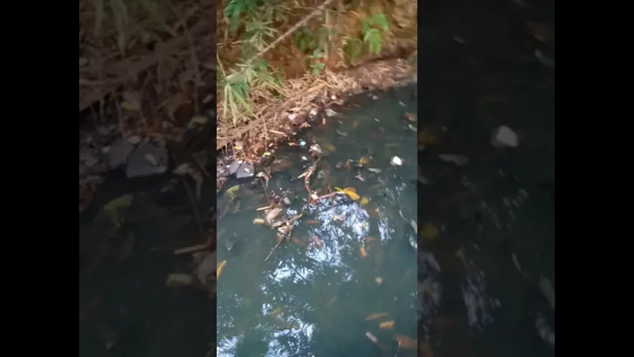 sampah yang menumpuk 😳