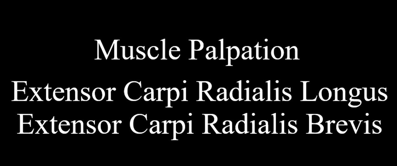 Muscle Palpation - Extensor Carpi Radialis Longus & Extensor Carpi Radialis Brevis