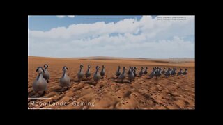 Chickens vs Ducks | Ultimate Epic Battle Simulator II | OMG Funny | Birds for Dinner