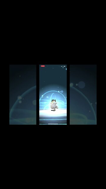 Pokémon Go - Evolving Galarian Meowth Into Perrserker Showcase #Shorts