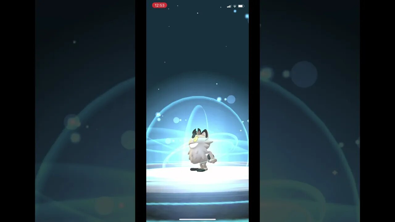 Pokémon Go - Evolving Galarian Meowth Into Perrserker Showcase #Shorts