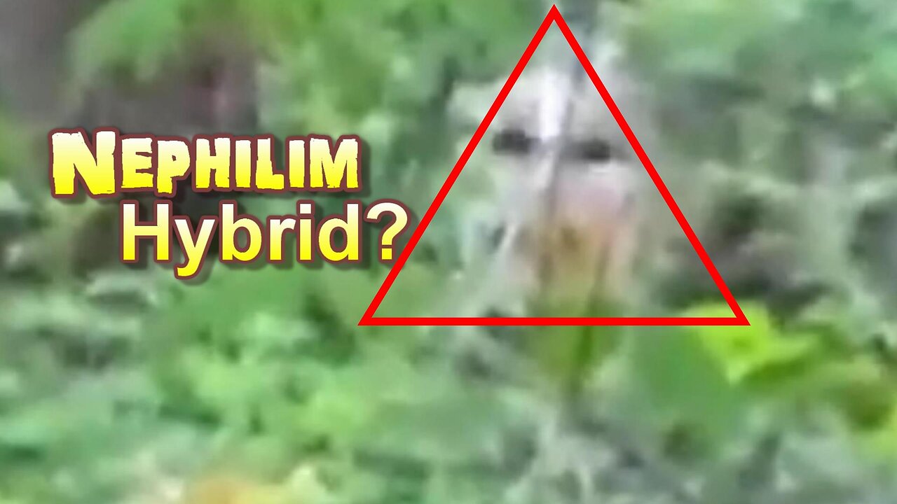 Monstrous Creature In The Woods - Hunting Humans??