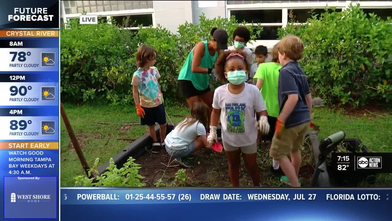 Sean Daly highlights MacFarlane Park Elementary's school garden