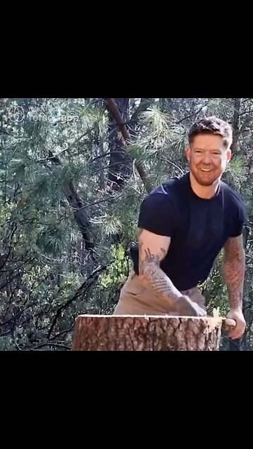 Donald Trump Chops Down A Tree Stump Meme