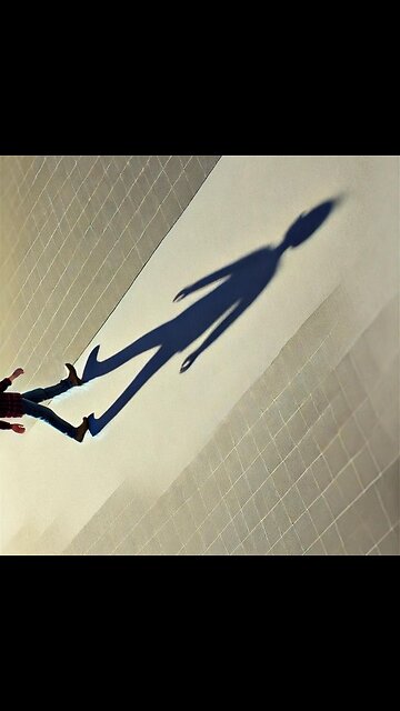 Silent Companion: The Unspoken Bond