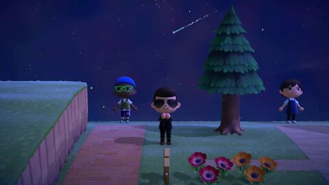 Animal Crossing Meteor Shower Night 1