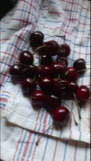 poisons on our Food supplies