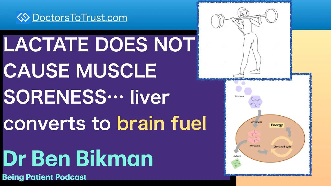 BEN BIKMAN 5a | LACTATE DOES NOT CAUSE MUSCLE SORENESS… liver converts to brain fuel