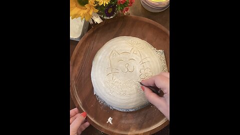 Sourdough Kitty Timelapse