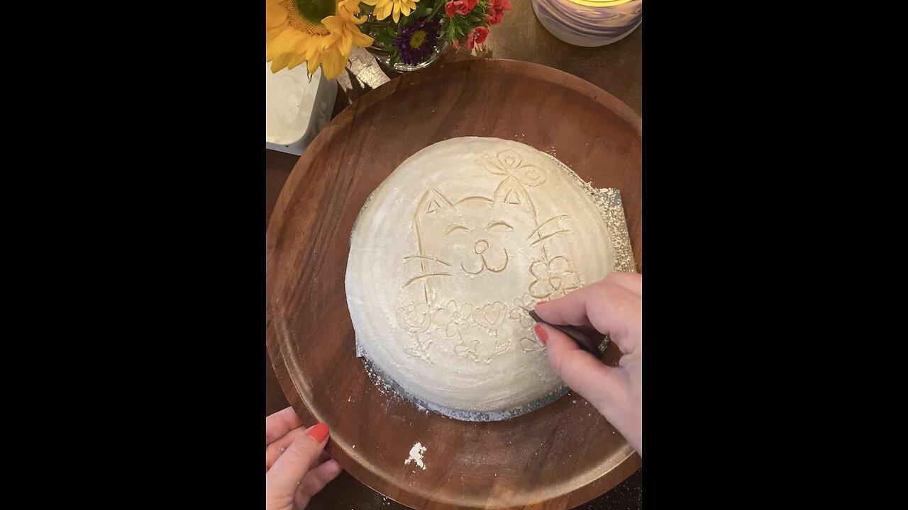 Sourdough Kitty Timelapse