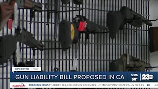 Gun liability bill proposed in CA