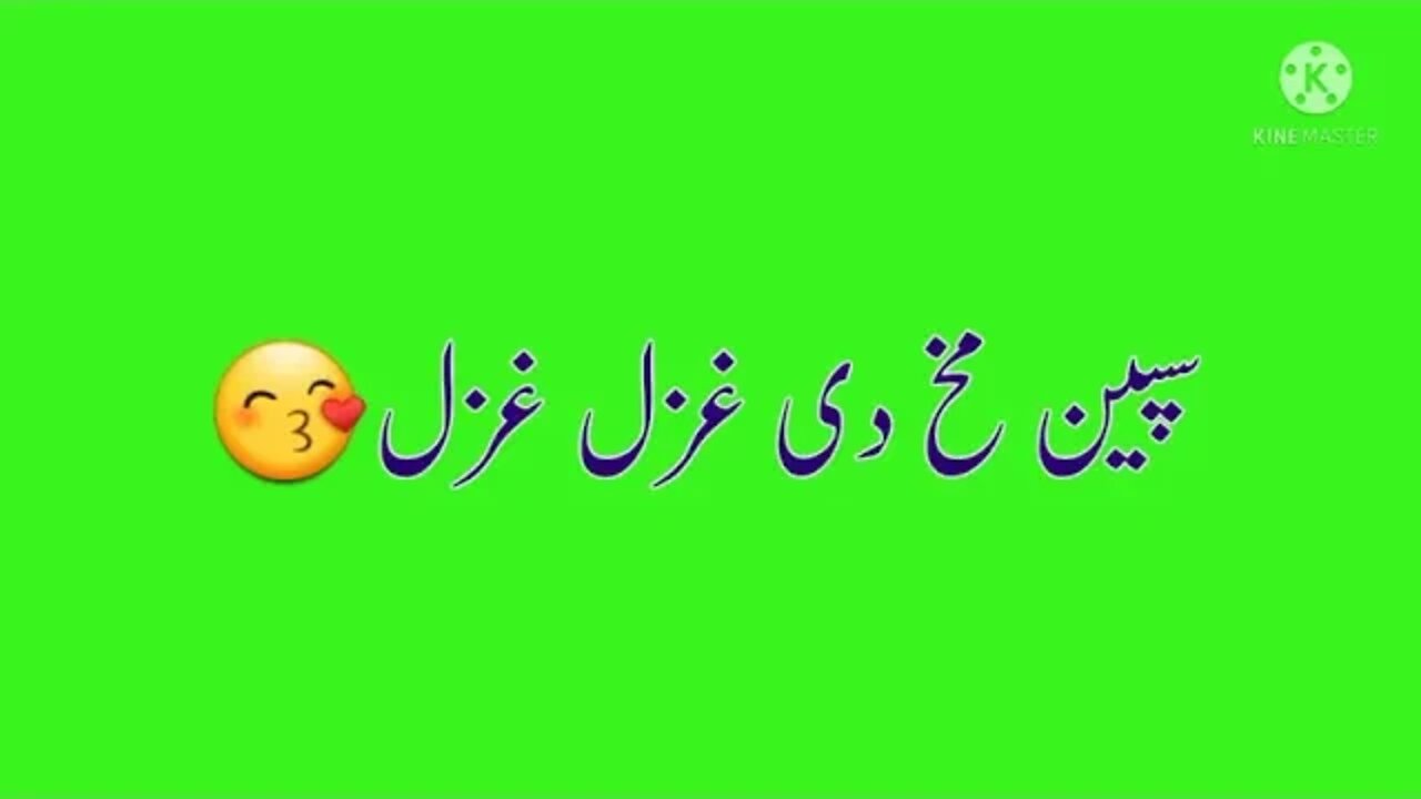 Green Screen stargi di tapa tapa Pashto Shayari lyrics Pashto Shayari lyrics Green