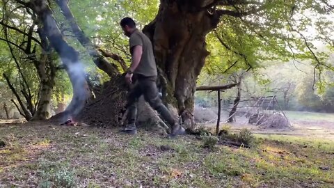 Build a warm shelter with a fireplace inside a 5,000 year old tree. 1