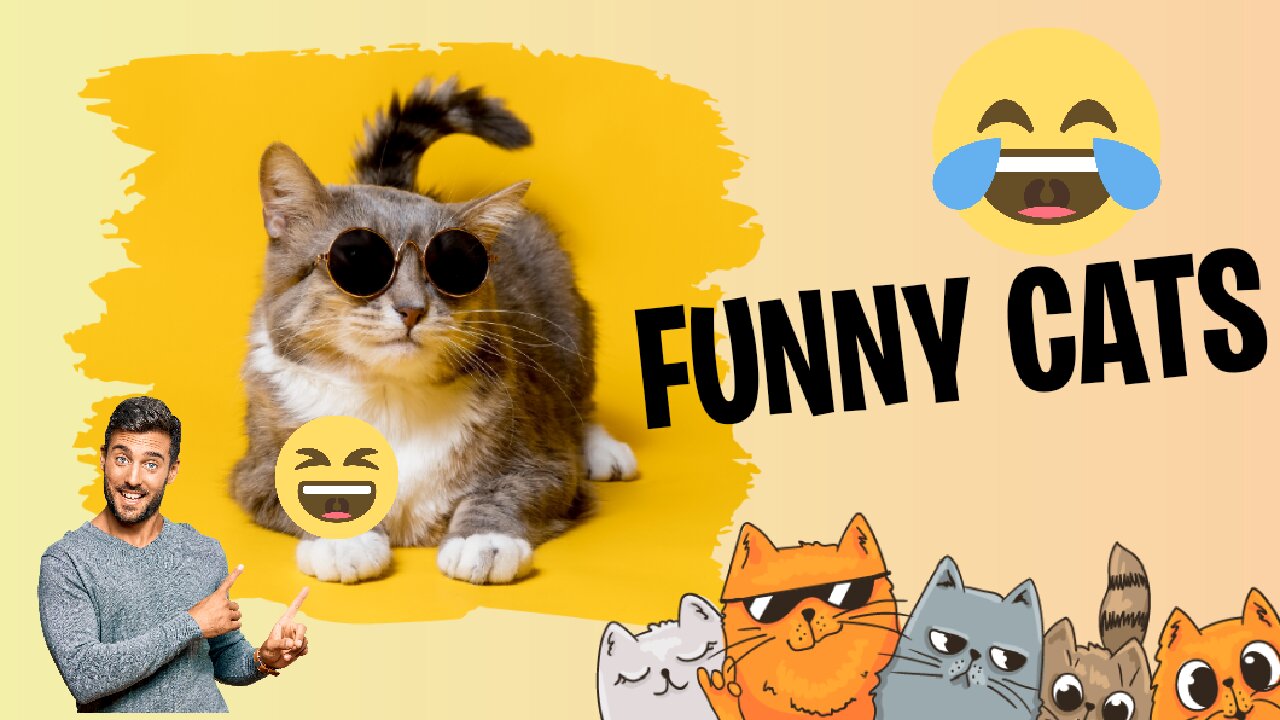 Funniest Animals 2023 😅 Best Funny Cats