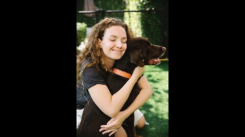 every dog ​​likes to be petted