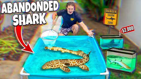 I Rescued A $2,000 SHARK For My SALTWATER POND!!