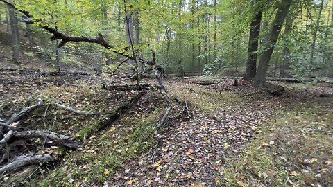 ‘22 deer scouting