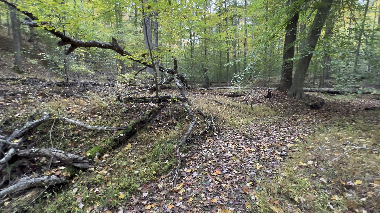 ‘22 deer scouting