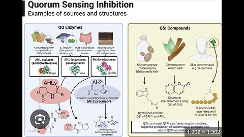Quorom Sensing for cyber physical systems w/ NIST & Rice University