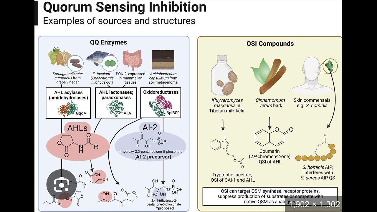 Quorom Sensing for cyber physical systems w/ NIST & Rice University