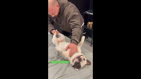 Animals Deserves this treatment too