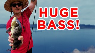 I Caught A Huge Bass! - Fishing Newport Beach 2020