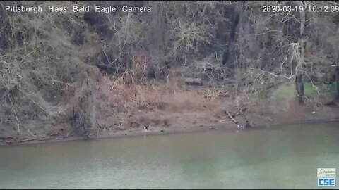 Hays Dad at the River cleaning up Moms breakfish 2020 03 19 1009am