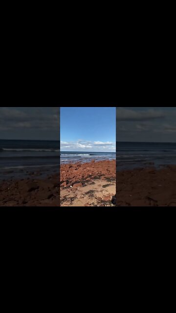 Robinson’s Island beach