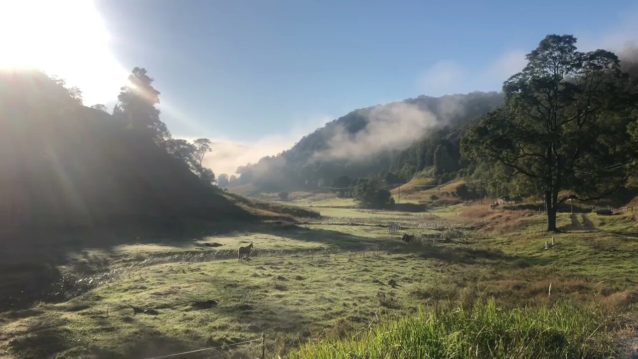 Good morning from an Autumn paradise down under