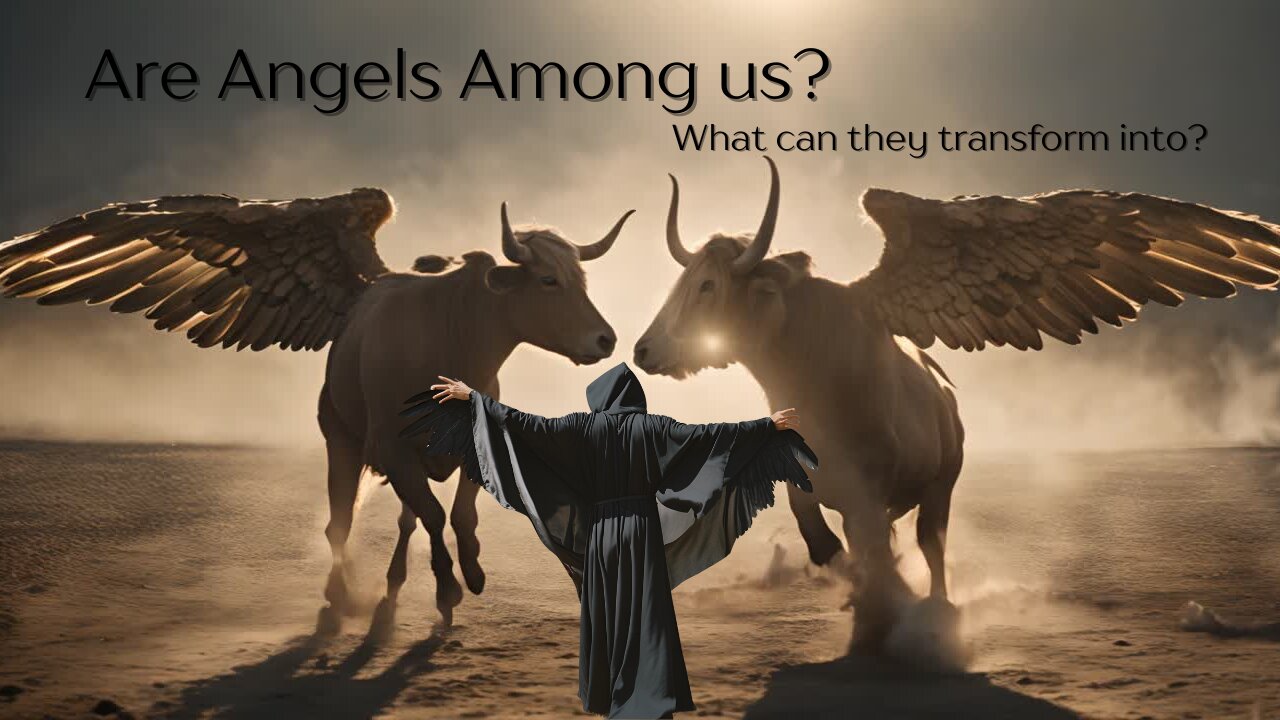 Are angels among us?