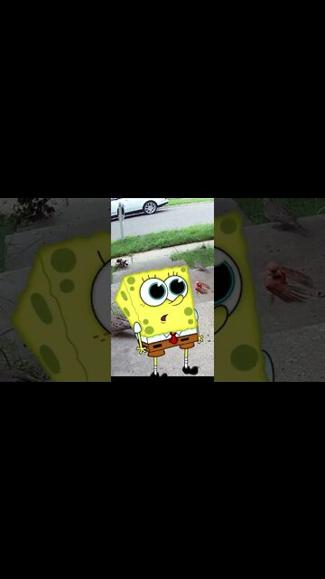 Spongebob Comes To Visit #Shorts 🌞
