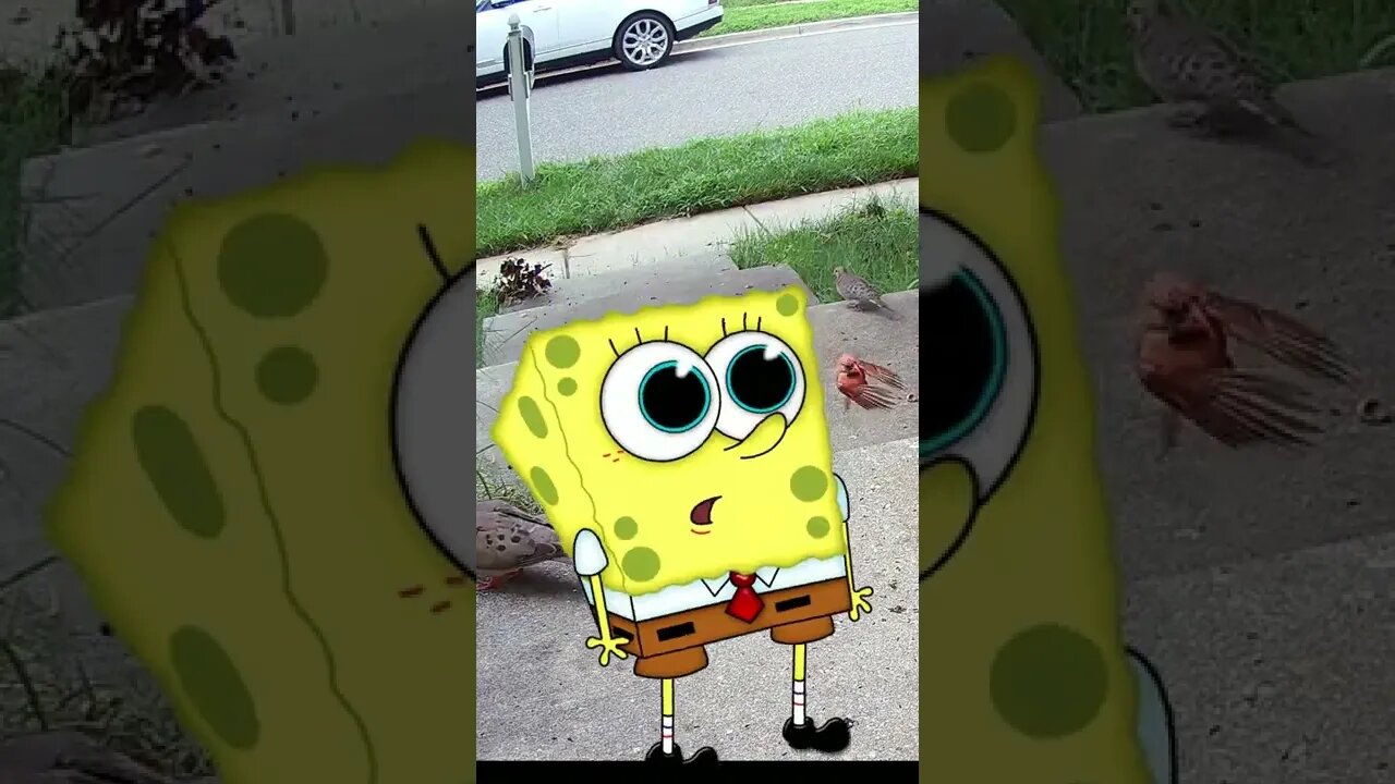 Spongebob Comes To Visit #Shorts 🌞