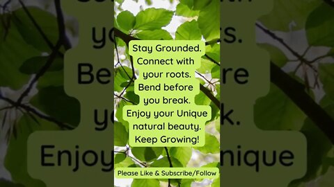 Be Like a Tree