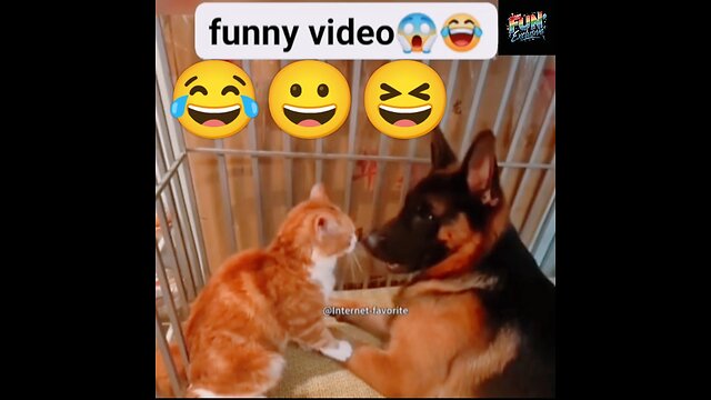 Funny Pet Video 2 | Awesome Funny video