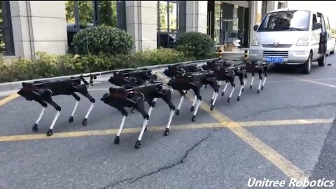 CHINAS ROBOT DOG ARMY ON DISPLAY