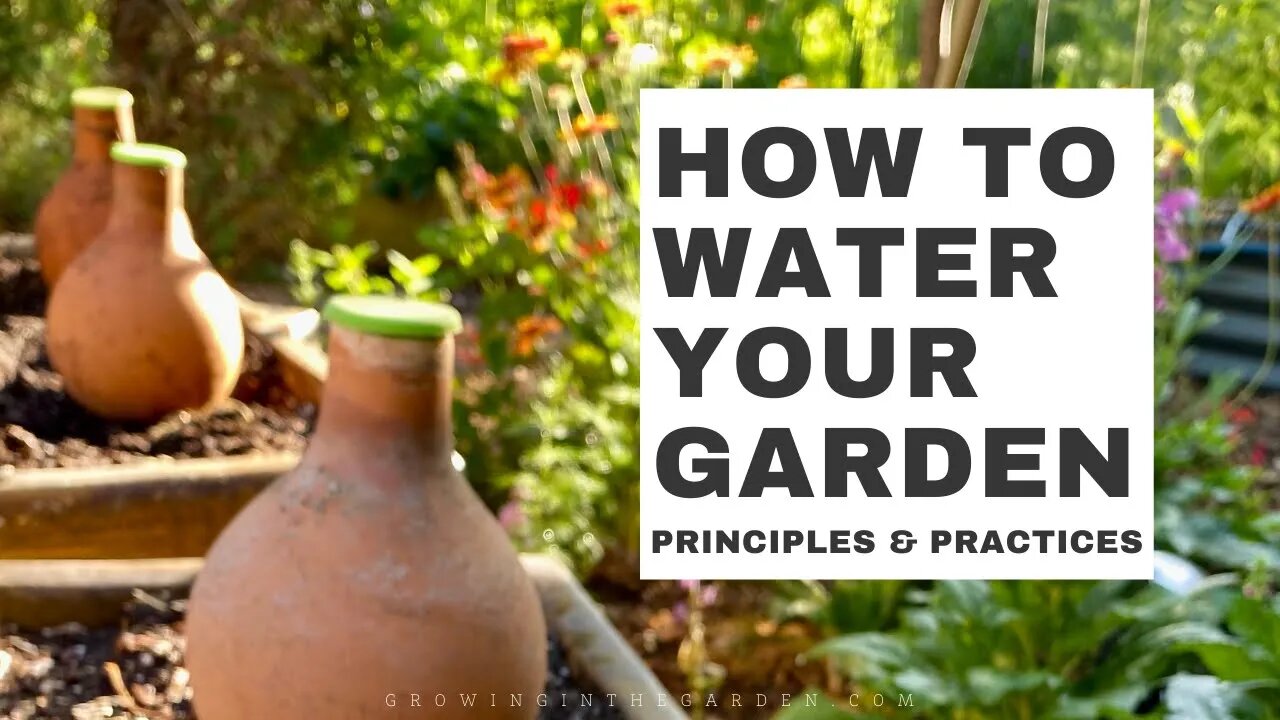 HOW to WATER your GARDEN: Principles and Practices for Effective and Efficient Watering