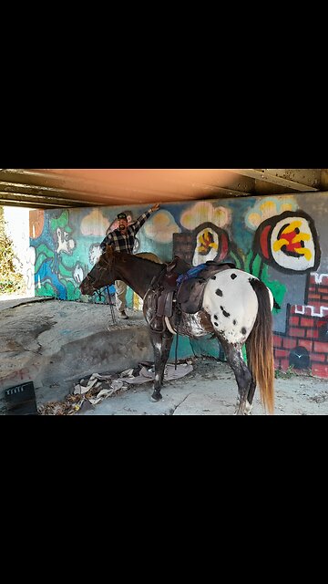 Flying on all four legs.