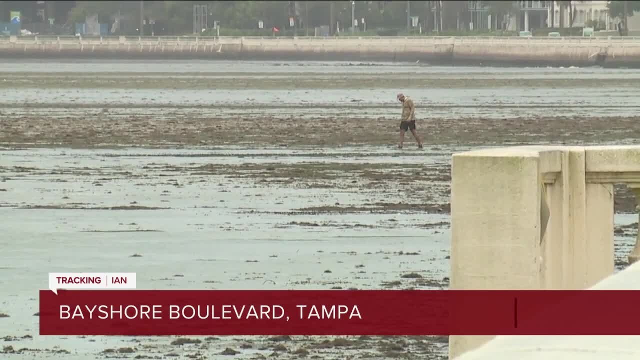 Kylie McGivern on Bayshore | Receding waters along Bayshore Boulevard.