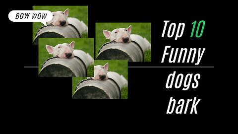 TOP 10 DOGS FUNNY BARK