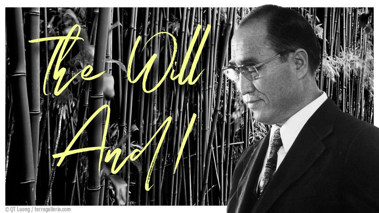 The Will And I (The King's Report 06/17/2023)