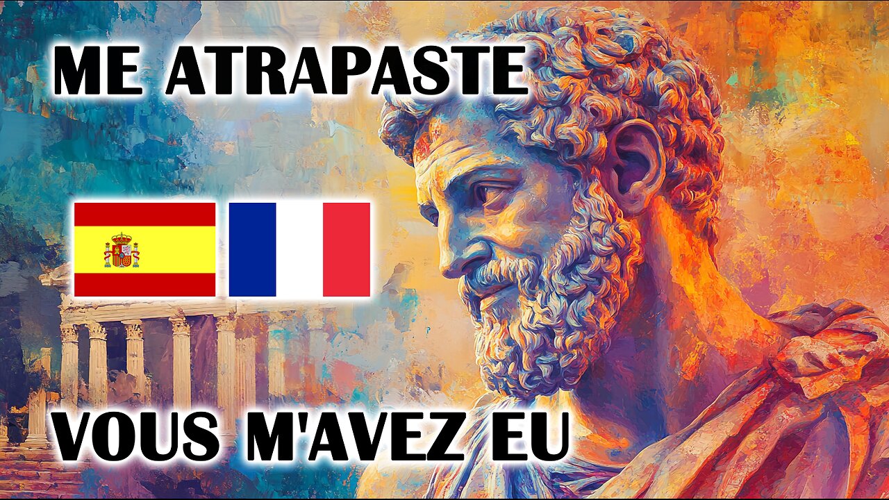 50 nuevos chistes estoicos - 50 nouvelles blagues stoïques