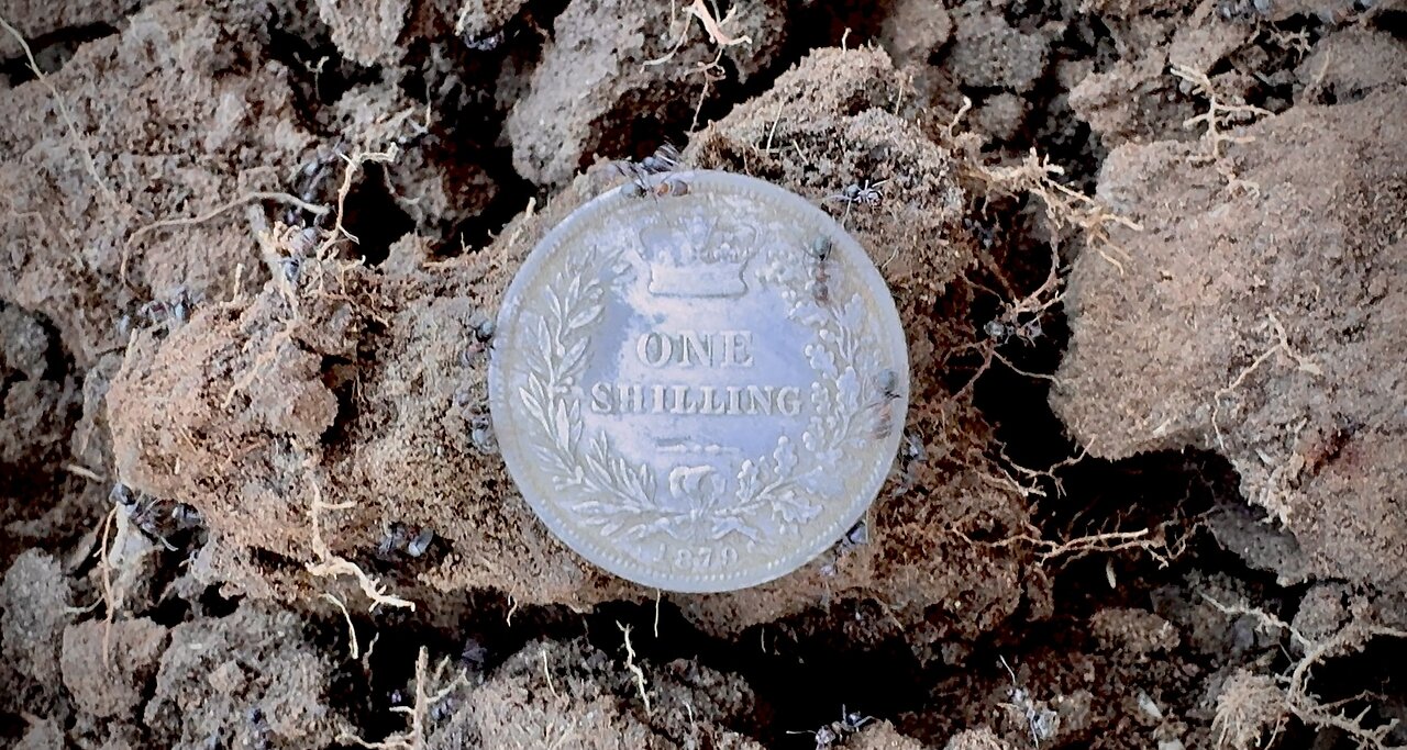 1879 Sterling Silver Shilling Of Queen Victoria Metal Detecting