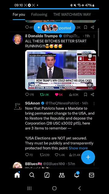 il Donaldo Trumpo . SG Anon post election