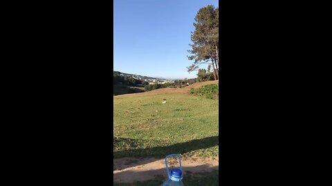 طبيعه