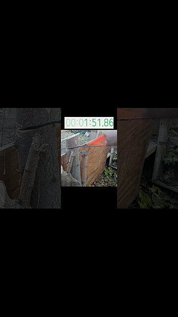 TEMU Hand Chainsaw in Action