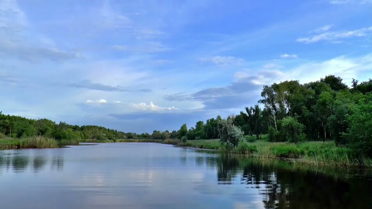 calming river bank in the jungle