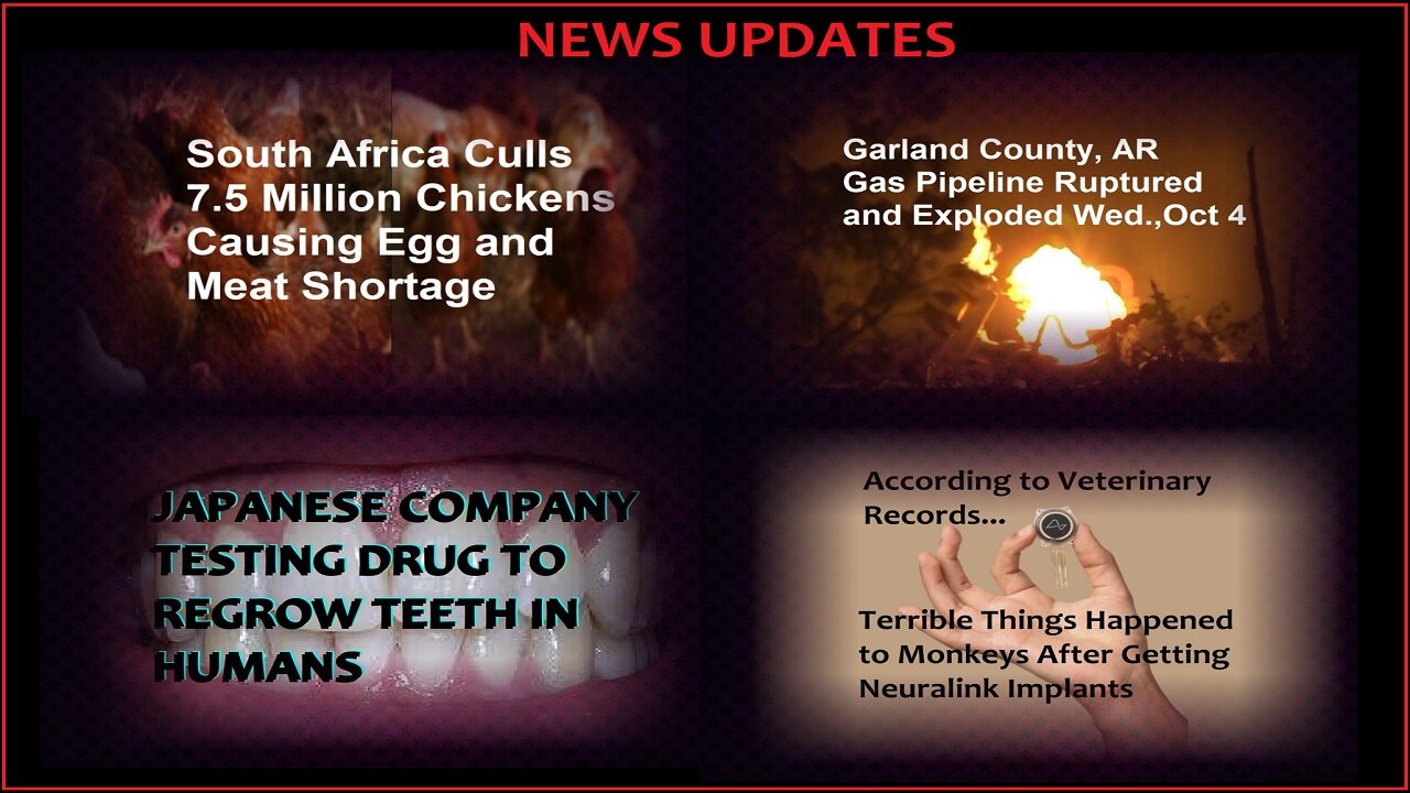 Gas Pipeline Exploded In AR; 7.5 Million Chickens Culled S.Africa & Other News