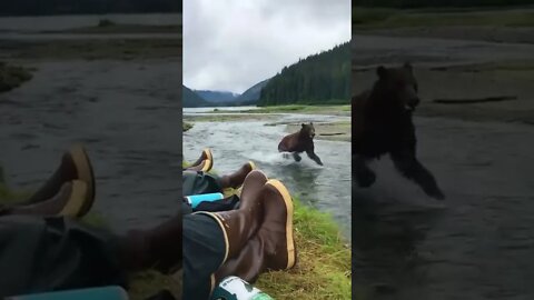 Normal day in Alaska