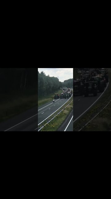 DUTCH FARMERS. Tractor convoy.